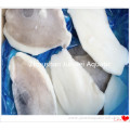 frozen John Dory Fillet skin on